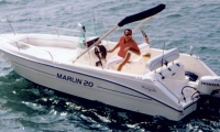 Today's Special (140 HP)